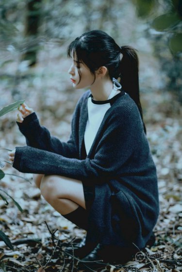 虎妈猫爸 电视剧