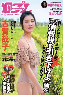 滋味商洛H