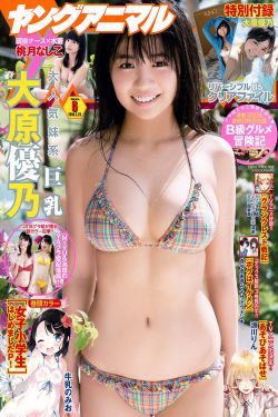 斯坦科维奇杯