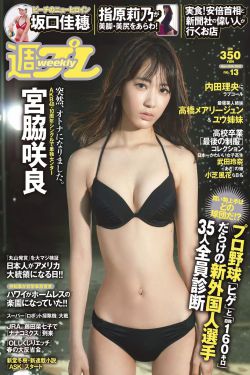 巡回检察组1-43集免费观看电视剧